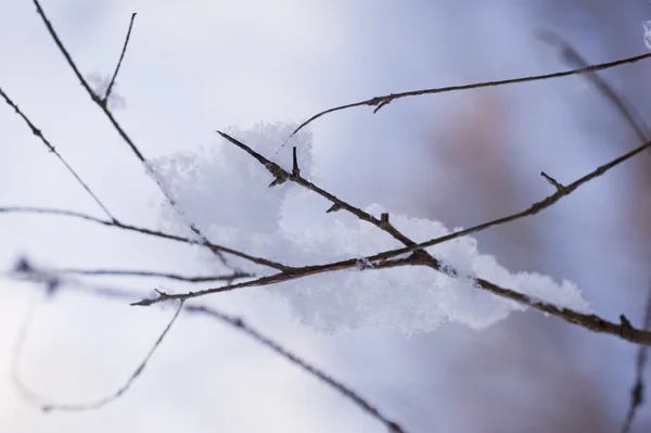 多雪的冬天 — 图库照片