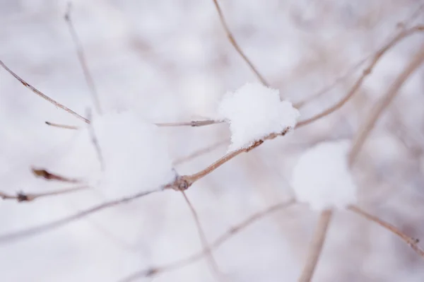 Inverno nevoso — Foto Stock