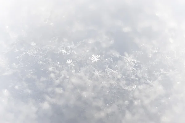 Flocos de neve — Fotografia de Stock