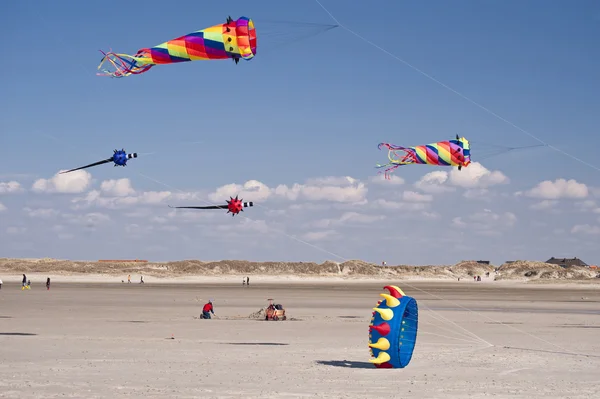 Kites — Stock Photo, Image