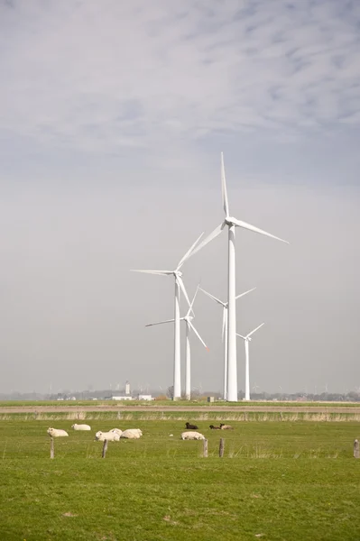 Вітроенергетика — стокове фото