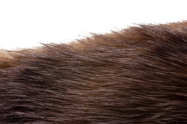 :Close up of brown fur — Stock Photo, Image