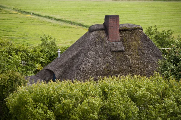 Солом'яний дах — стокове фото