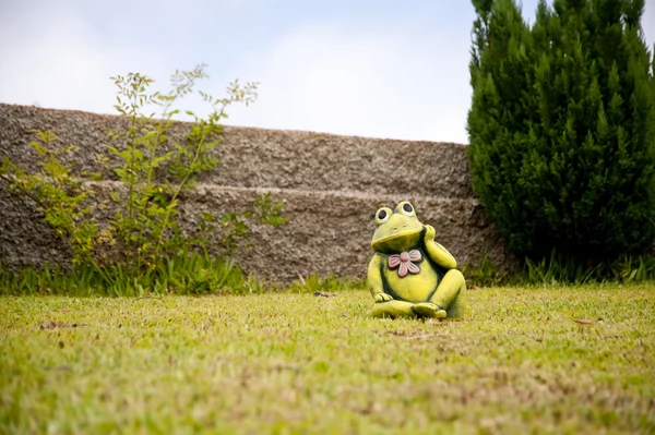 Madeira — Stock Photo, Image