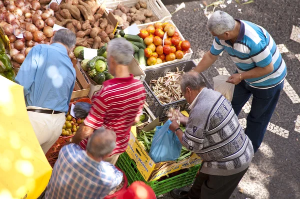 stock image Madeira