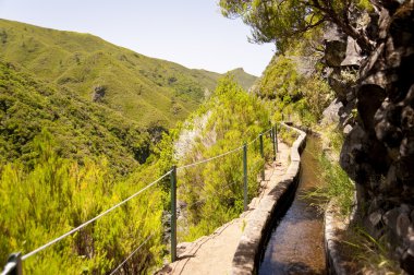 Madeira