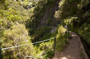 Madeira