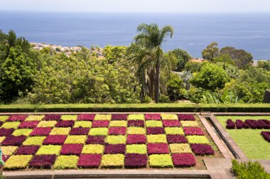 Madeira