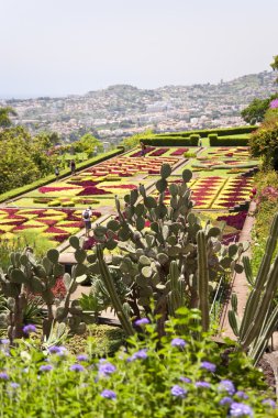 Madeira