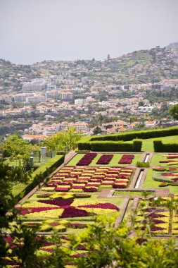 Madeira