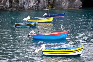 Fishing boats on madeira clipart