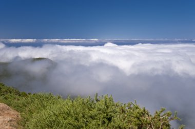 Madeira