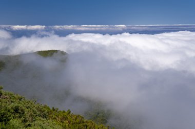 Madeira