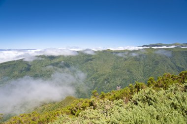 Madeira