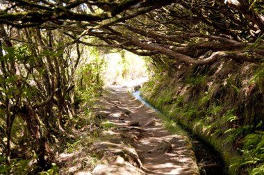 Madeira