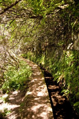 Madeira