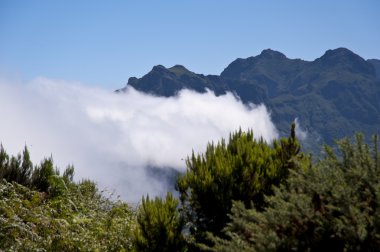 Madeira