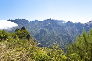 Madeira