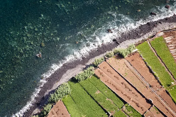 stock image Madeira