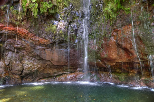 stock image Madeira