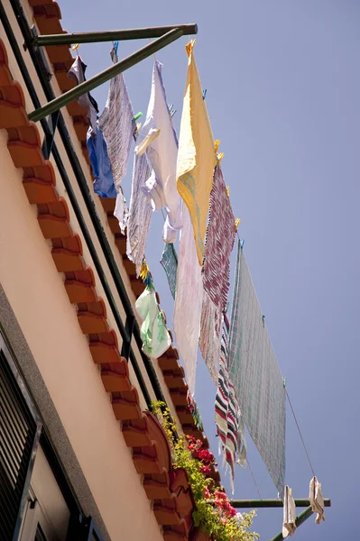 Madeira — Stock fotografie