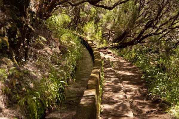 Madeira