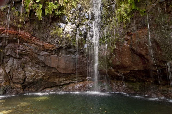 stock image Madeira