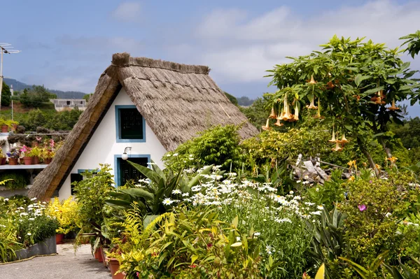 Madeira — Stockfoto