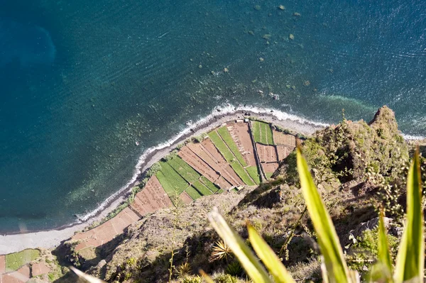 Мадейра — стоковое фото