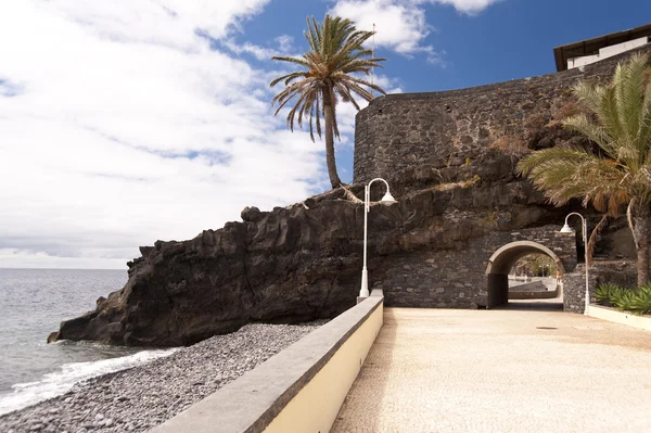 Madeira — Fotografia de Stock