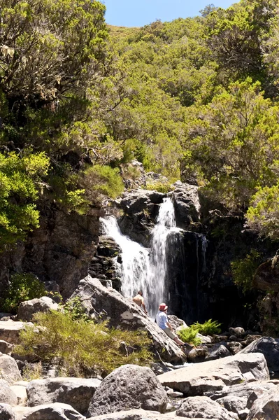 stock image Madeira