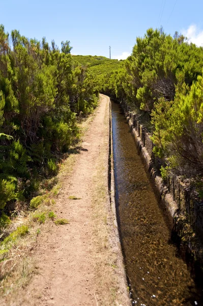 stock image Madeira