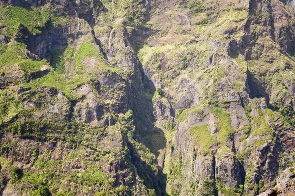 Madeira — Fotografia de Stock