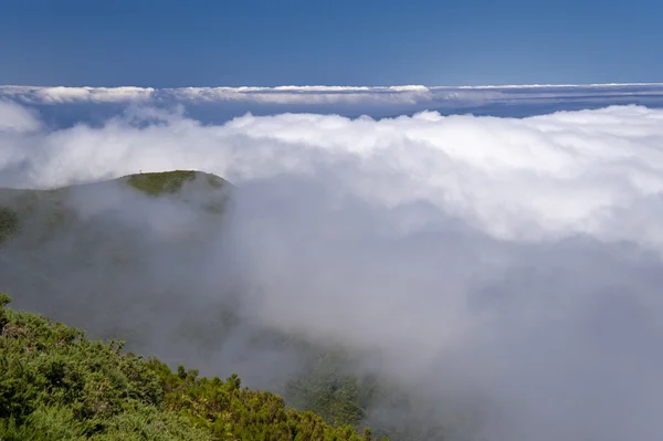 Madeira — Stockfoto