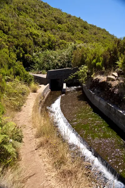 stock image Madeira