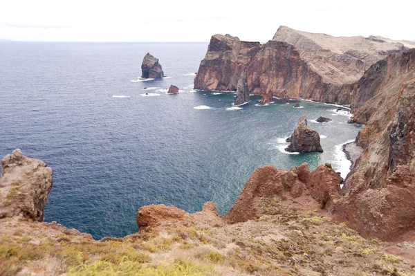 Мадейра — стоковое фото