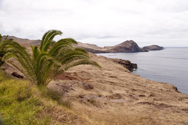 マデイラ諸島 — ストック写真