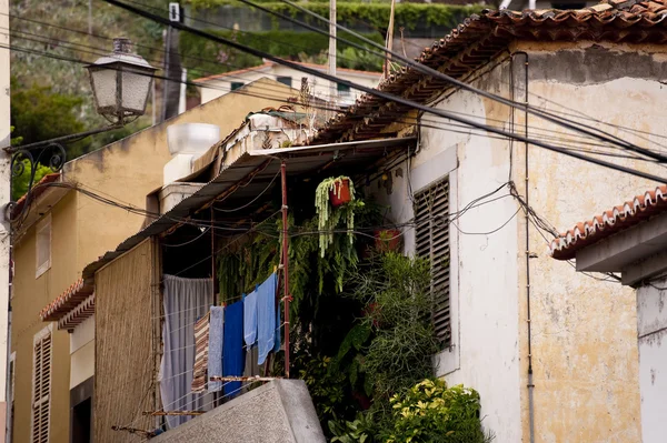 Madeira — Stock fotografie