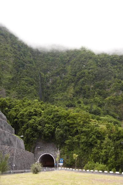 stock image Madeira