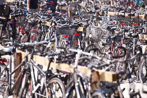 Bicicletas — Foto de Stock