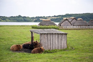Hedeby
