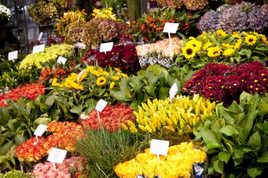 Flower market in amsterdam clipart