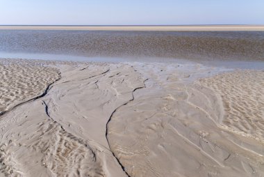 Beach of St. Peter-Ording clipart