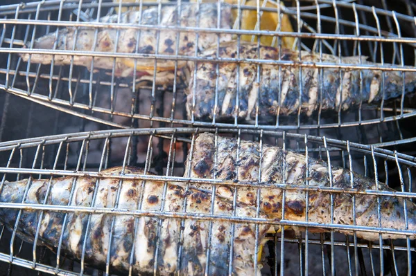 stock image Grilled fishes