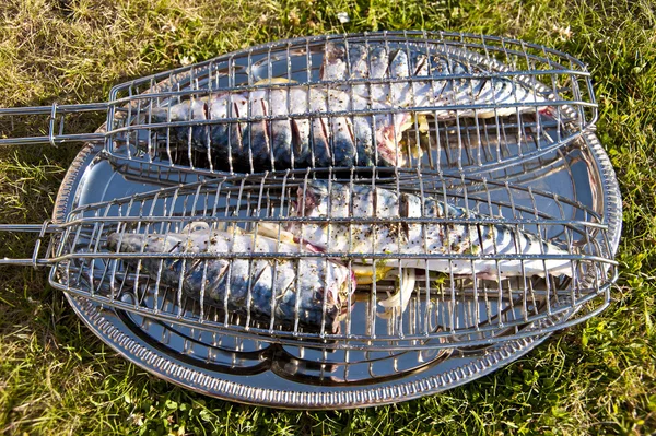 Grilled fishes — Stock Photo, Image