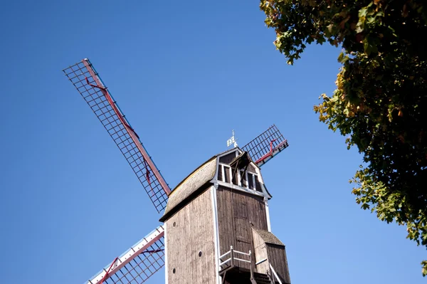 Wind mill — Stock Photo, Image