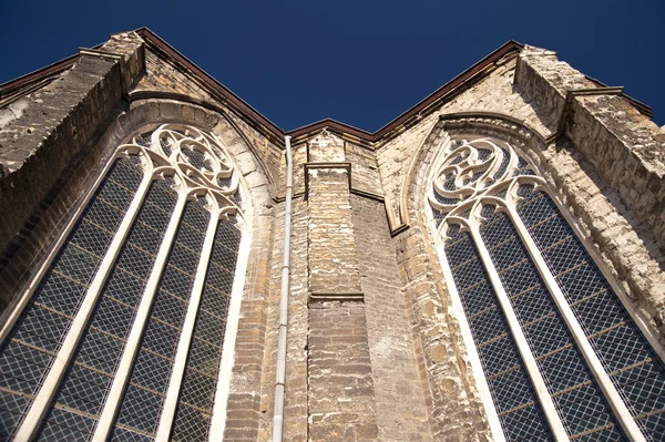 Catedral en ghent — Foto de Stock