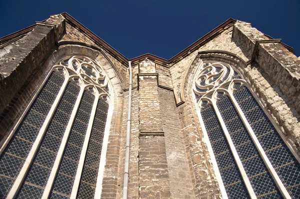 Cathedral in ghent — Stock Photo, Image