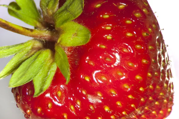 stock image Strawberry