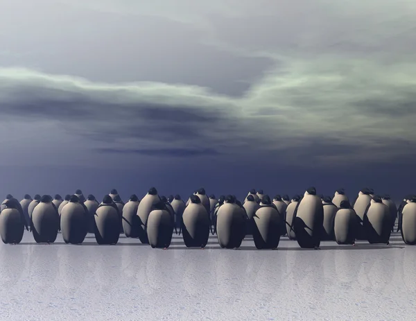 Pingvinek — Stock Fotó